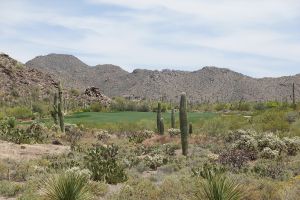 Dove Mountain (Tortolita) 9th